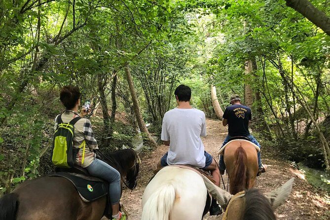 Horseback riding and wine tasting - Price and time: is $190.63 worth it?