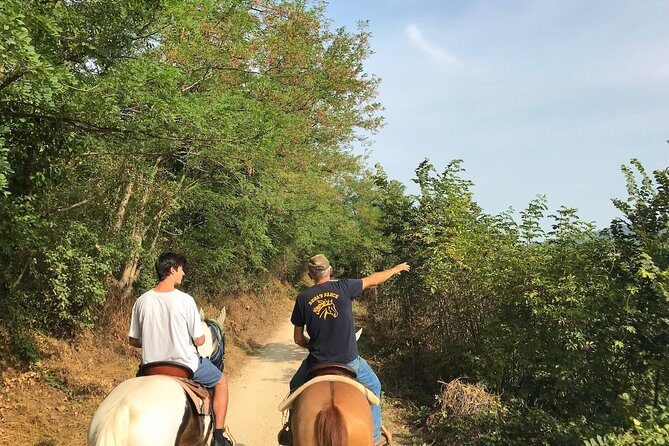 Horseback riding and wine tasting - The 60-minute vineyard ride toward Custoza hill