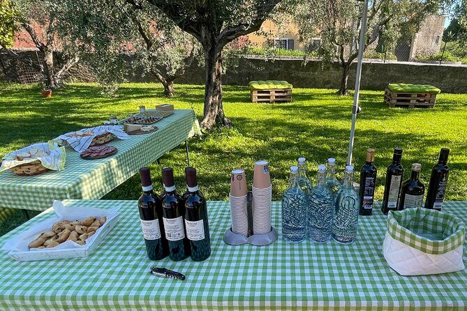 Lake Garda Olive Oil Tour and Tasting Experience - Price and value: what $34.84 buys you