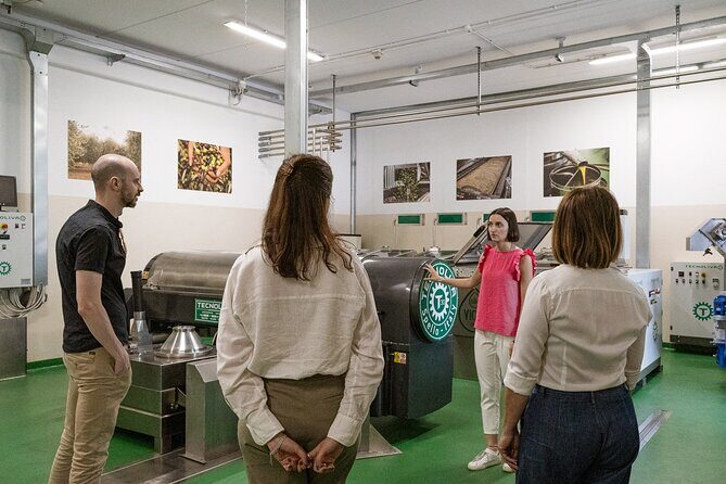 Lake Garda Olive Oil Tour and Tasting Experience - Service, group size, and comfort basics