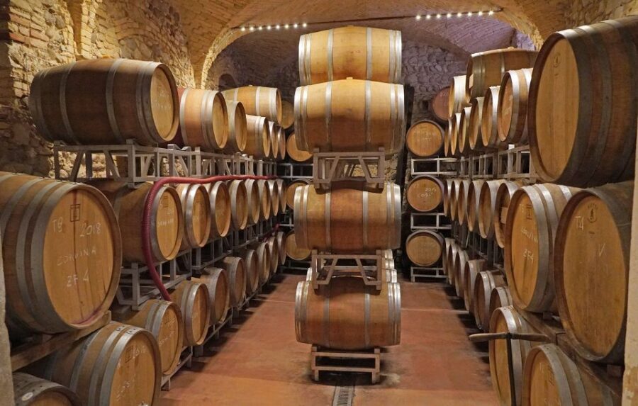 Lazise: Historical Center Wine Tasting Tour - The pairing that makes it feel real: Garda olive oil, cold cuts, cheese, bread