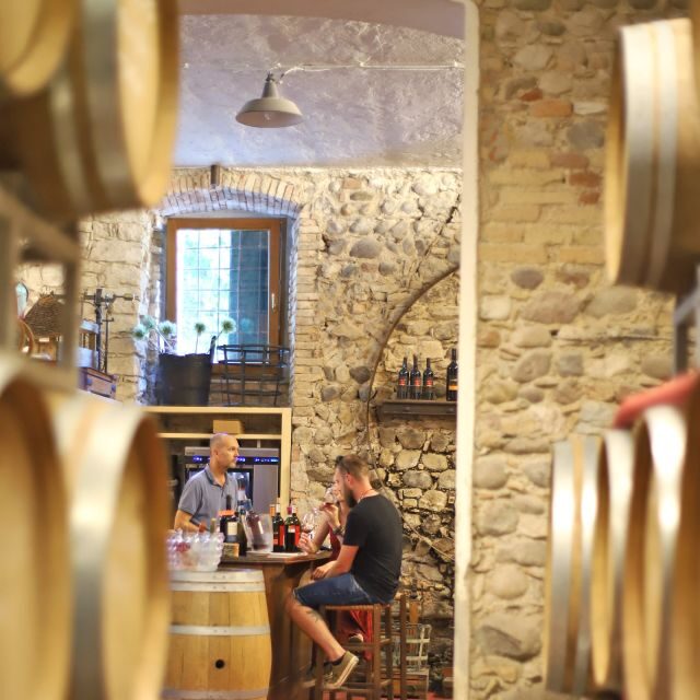 Lazise: Historical Center Wine Tasting Tour - Who this is best for (and who should skip it)