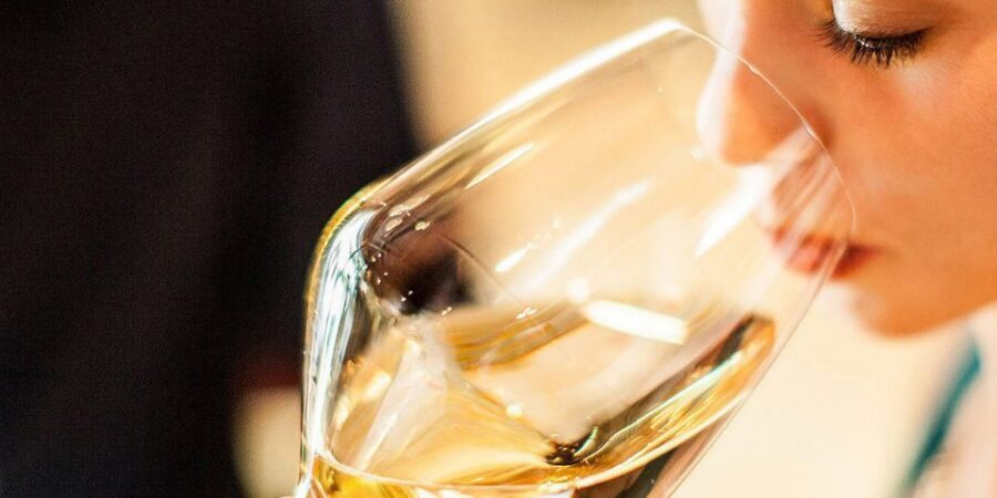 Lugana Wine Tour With Private Panoramic Boat on Lake Garda - The Oldest Lugana Winery in Sirmione: Tradition Meets a Modern Cellar