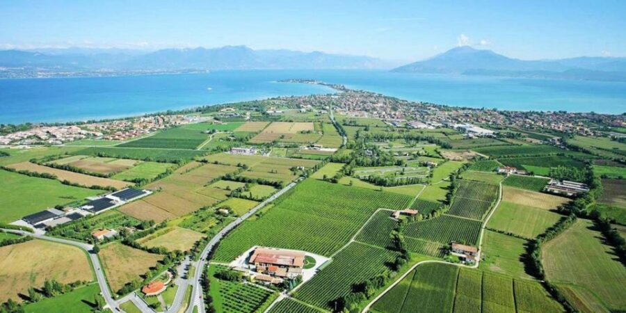 Lugana Wine Tour With Private Panoramic Boat on Lake Garda - Wine Tasting with a Sommelier: What Lugana Is and How to Enjoy It