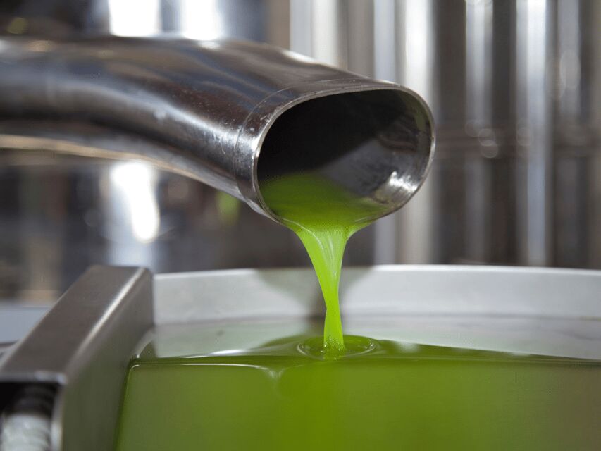 Olive Mill Tour and Tasting in the Verona Countryside - Key highlights you’ll feel right away