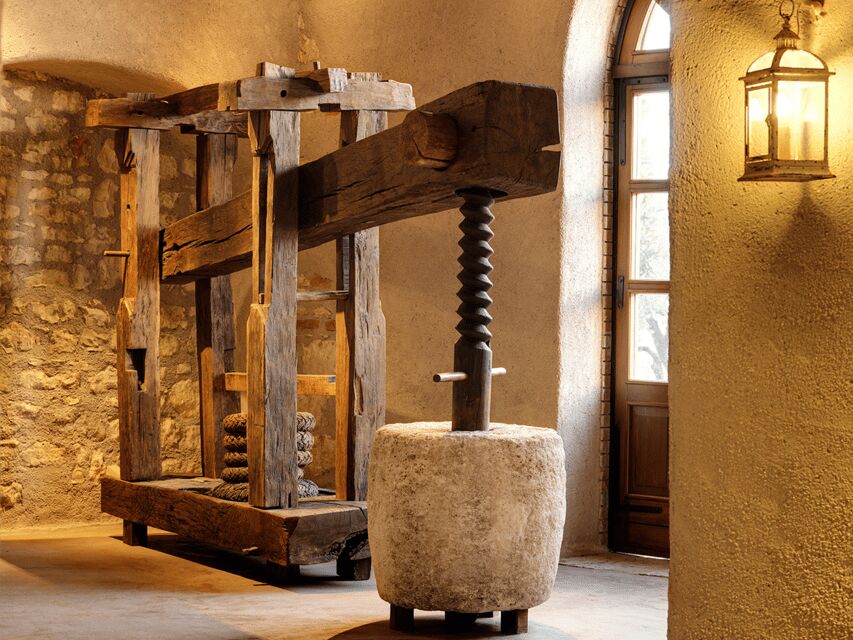Olive Mill Tour and Tasting in the Verona Countryside - Verona countryside, but make it practical