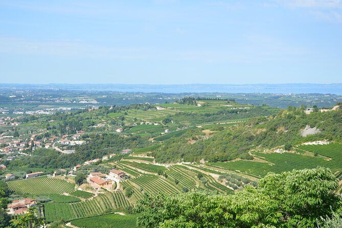 Pagus Wine Tours® - A taste of Amarone - Half day wine tour - Verona to Valpolicella Classica in one smooth hop