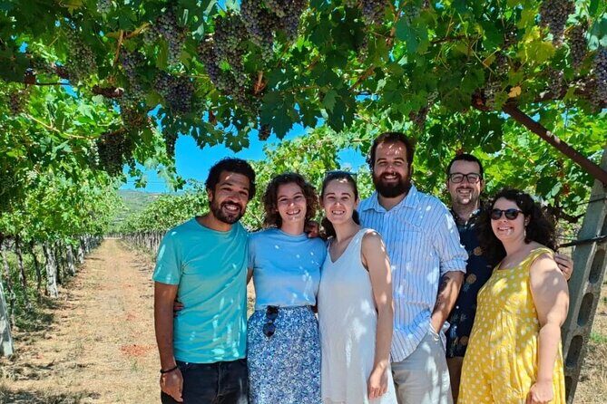 Pagus Wine Tours® - A taste of Amarone - Half day wine tour - Timing and pacing: 3.5 hours that actually feel doable