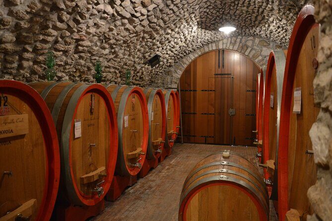 Pagus Wine Tours® - A taste of Amarone - Half day wine tour - Guide impact: when the person matters, it really shows