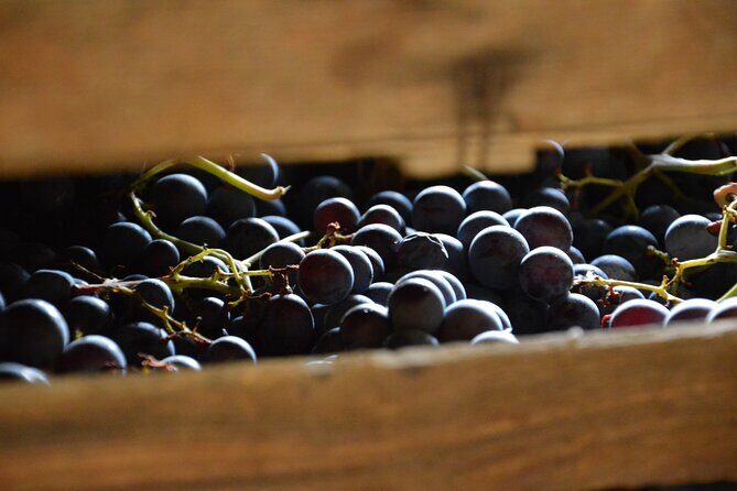 Pagus Wine Tours® - A taste of Amarone - Half day wine tour - San Giorgio di Valpolicella: church first, views second
