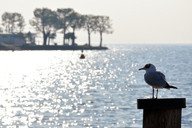 Pagus Wine Tours® - Sirmione by boat and Amarone - Full day tour - Verona start: quick store stop, then straight to Lake Garda