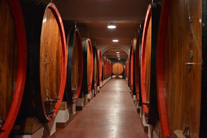 Pagus Wine Tours® - Soave and Amarone - Half day wine tour - Winery Tastings in Soave: Four Wines and Snacks You’ll Notice