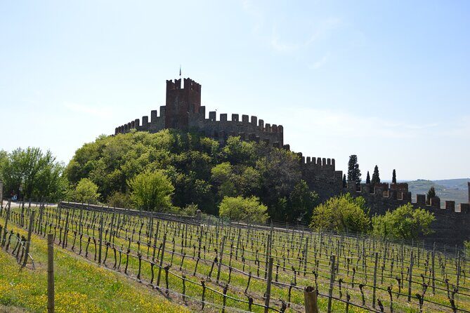 Pagus Wine Tours® - Soave and Amarone - Half day wine tour - Getting Around, Comfort, and Cellar Temperature Reality Checks