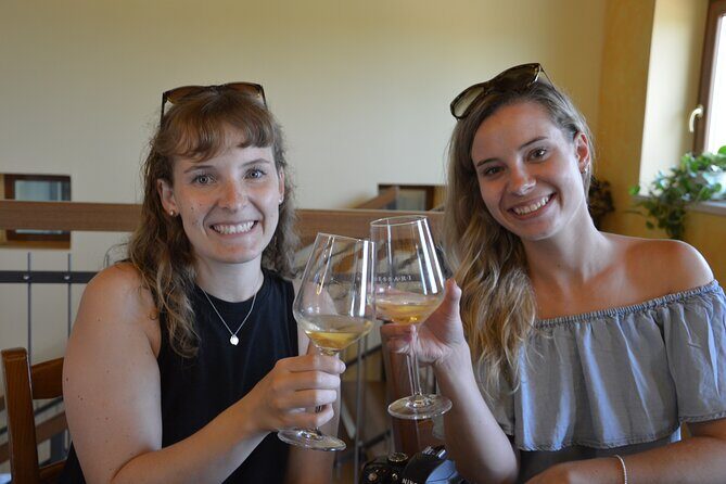Pagus Wine Tours® - Soave and Amarone - Half day wine tour - Price and Value: Is $175.90 Worth It?