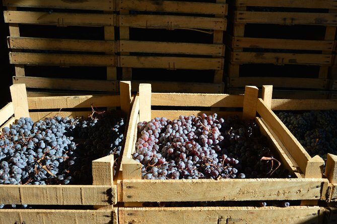 Pagus Wine Tours® - Two Amarone wineries - Half day wine tour - Small group energy: how the guide and sommelier changes the tasting