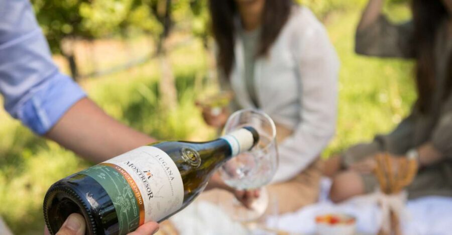 Taste with us Bardolino, Chiaretto and Lugana near Verona - The cellar route and wine museum: what you’re really paying for