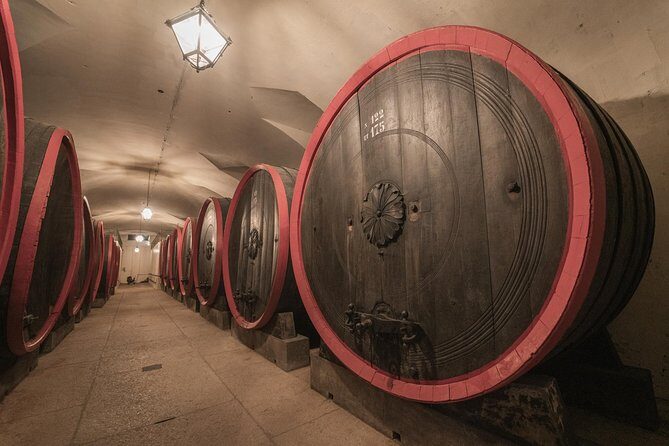The Amarone Chateau guided tour and tasting in Valpolicella - Price and value in a Verona wine-country plan