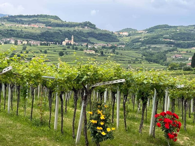 The grand tour of Amarone: 2 wineries with delicious lunch - Lunch in a Cellar: Food Pairing That Actually Makes Sense