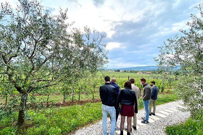 The Grand tour of Valpolicella: 2 Wineries, Lunch & Amarone focus - Stop 3 in Sant’Ambrogio di Valpolicella: vineyard walk and grappa toast