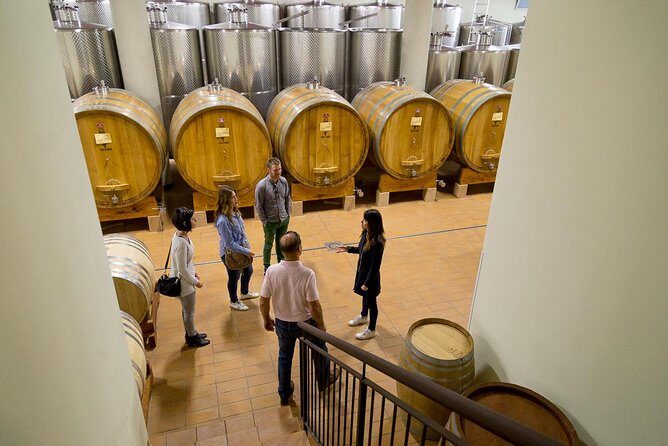The Valpolicella food & wine driving tour: cheese factory+ winery - Sant’Anna di Alfaedo and the Winery Lesson on Amarone