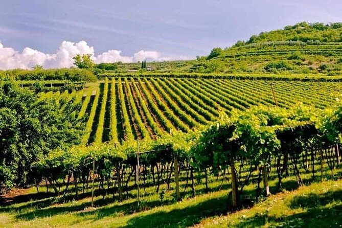 Valpolicella - The wine paradise - Key Highlights Worth Planning For