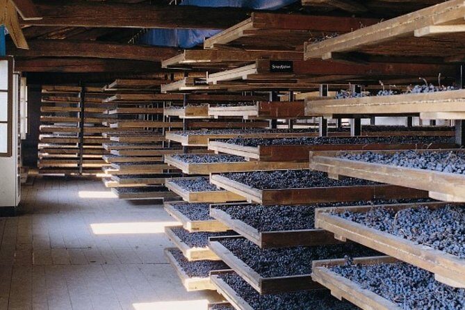 Valpolicella - The wine paradise - Valpolicella, The Wine Paradise, in Real Life