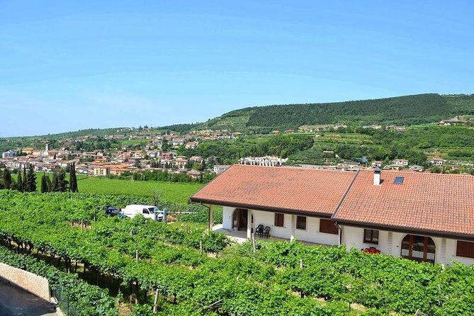 Valpolicella - The wine paradise - Torbe di Negrar: Handmade Pasta That Sets the Tone