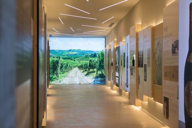 Valpolicella Wine Experience at Montresor winery - Entering the Cantine Giacomo Montresor museum experience