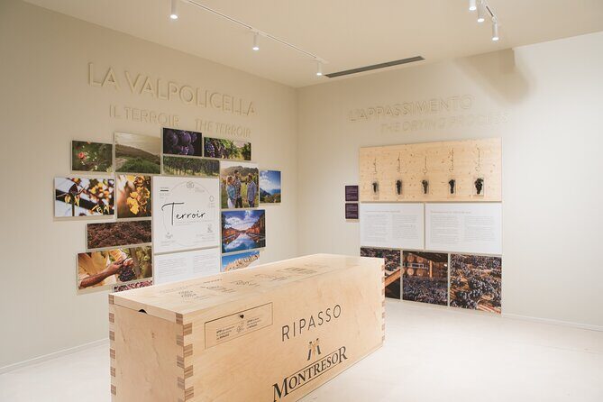 Valpolicella Wine Experience at Montresor winery - Who should book this Montresor tasting (and who should consider another style)