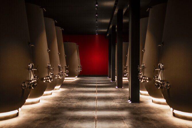 Valpolicella Wine Tasting Experience & Light Lunch - Key highlights at a glance