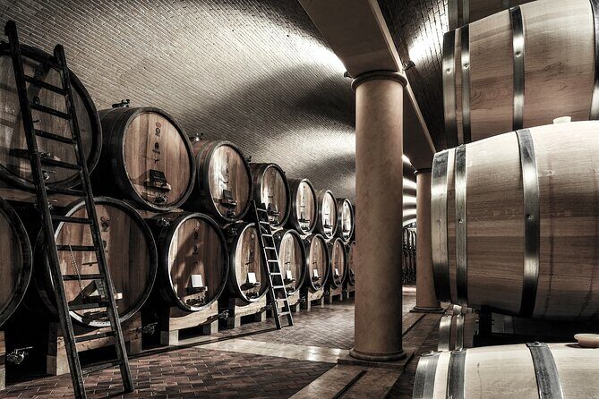 Valpolicella Wine Tasting Experience & Light Lunch - Lunch pairing in a wine-country setting: more than just a snack