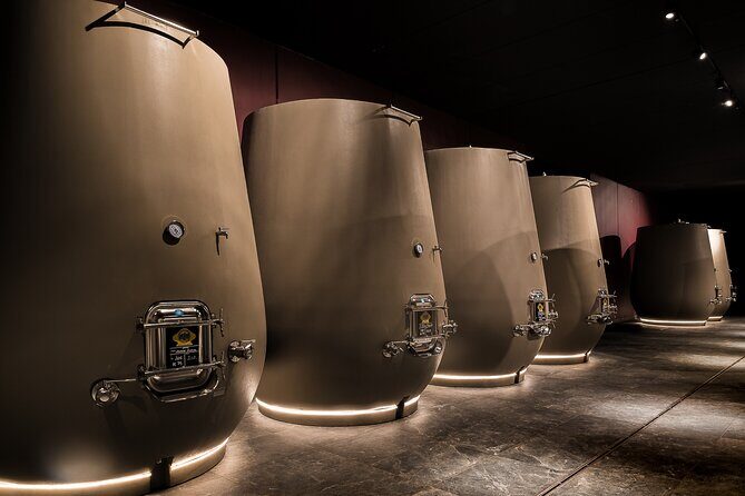 Valpolicella Wine Tasting Experience & Light Lunch - Should you book this Valpolicella Wine Tasting & Light Lunch?