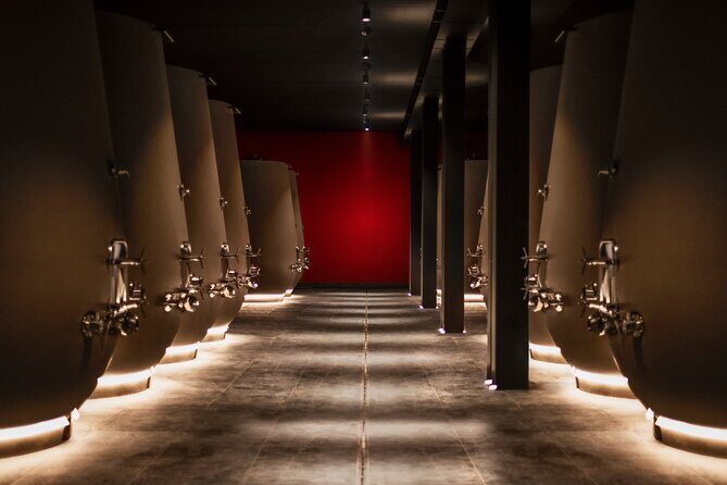 Verona area: Wine Tasting Experience in Valpolicella - Price and value: what you get for $42.14