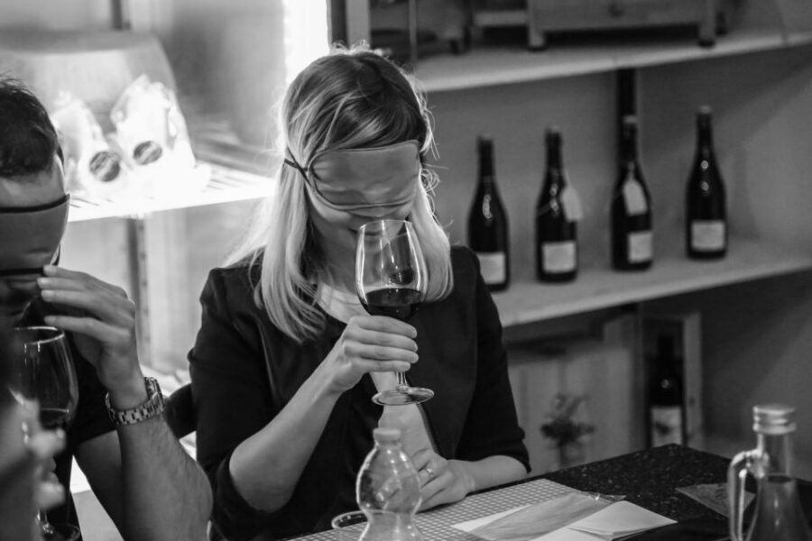 Verona: Blindfolded Wine Tasting - Your 1-hour flow: four tastings, one sensory card per round