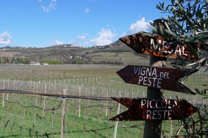 Verona - Cellar Tour and Tasting of NATURAL WINES - Cellar visit and the 1760 rooms: real production talk, not vague claims