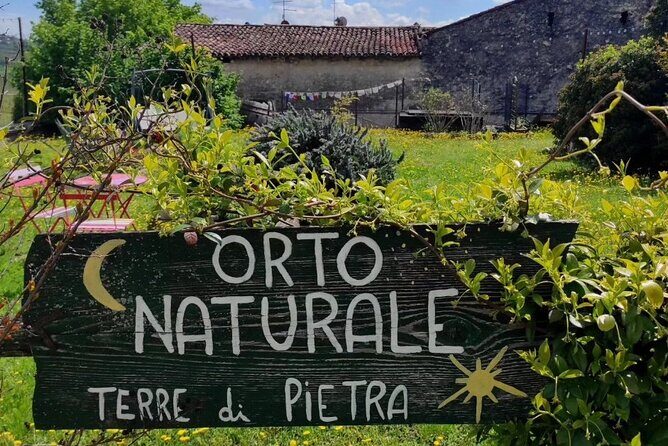 Verona - Cellar Tour and Tasting of NATURAL WINES - The guide factor: why this feels personal (and not scripted)