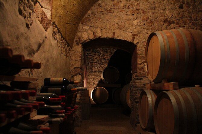 Verona - Cellar Tour and Tasting of NATURAL WINES - Price and value: is $30.04 reasonable here