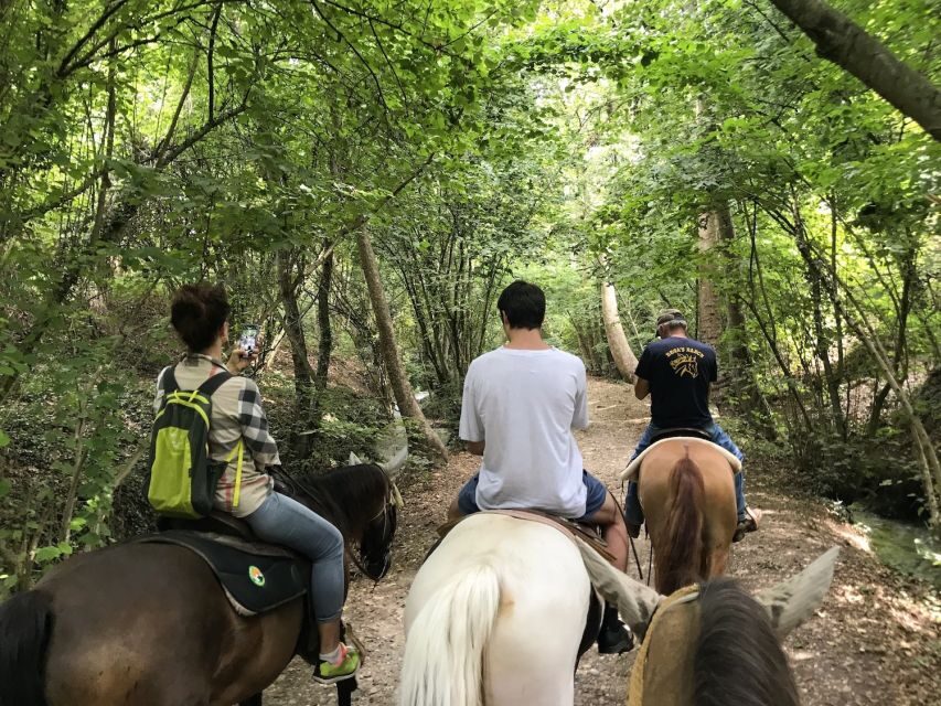 Verona: Horseback Riding and Wine Tasting Experience - Key points I’d plan around