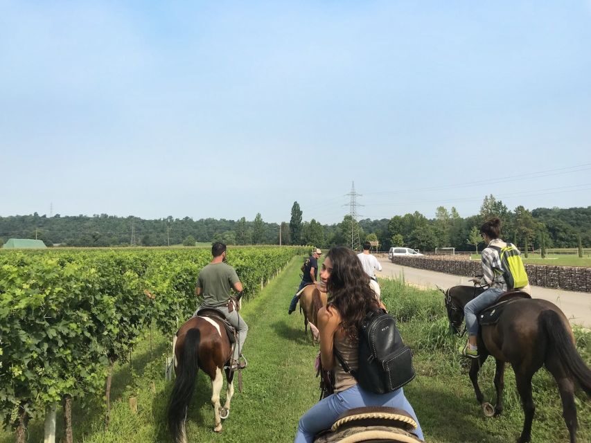 Verona: Horseback Riding and Wine Tasting Experience - Why This 4-Hour Verona Ride-and-Sip Format Works