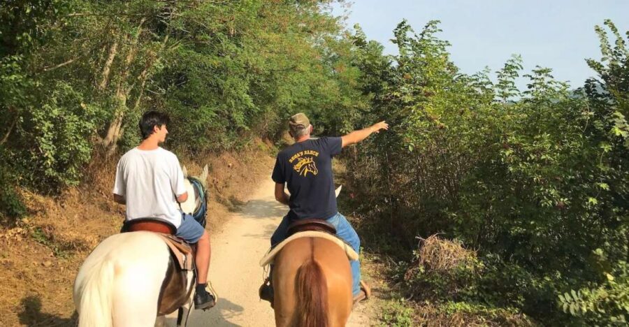 Verona: Horseback Riding and Wine Tasting Experience - The Vineyard Ride to the Hill of Custoza
