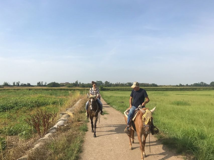 Verona: Horseback Riding and Wine Tasting Experience - Wine Tasting and Pairings: White, Rosé, Red with Homemade Cheese and Salami