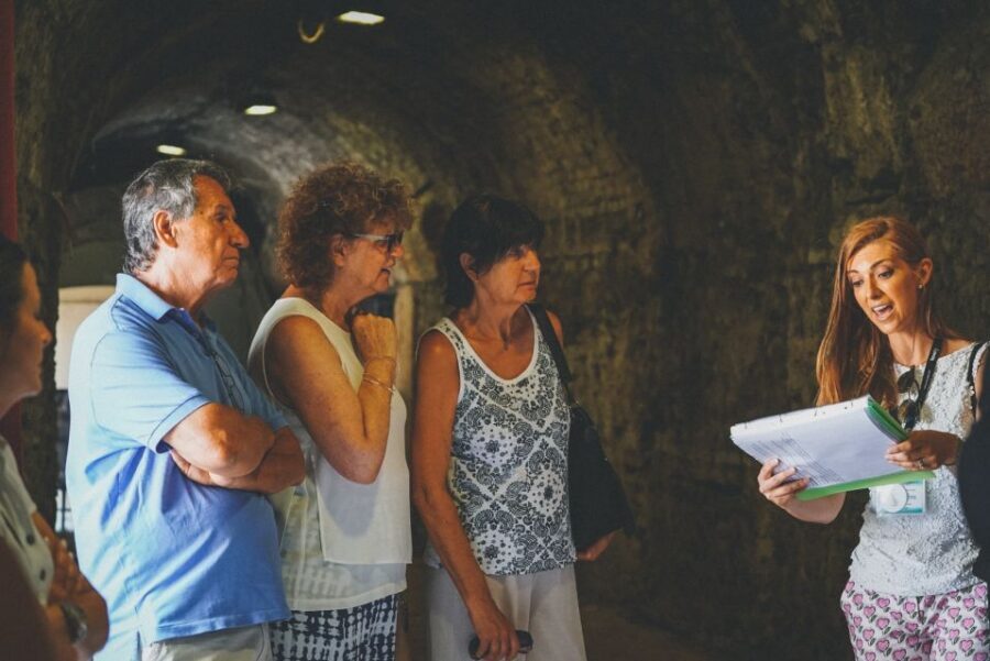 Verona: Priority Access Arena Guided Tour - UNESCO World Heritage context without the museum boredom