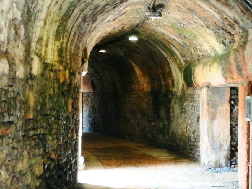 Verona: the Arena at the Gladiators' time - Gladiators, Wild Beasts, and Local Evidence: Stories That Stick