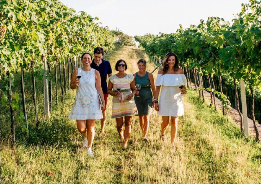 Verona: Vineyard and Winery Tour with Wine Tasting - The rural house and cellar: centuries of winemaking under one roof