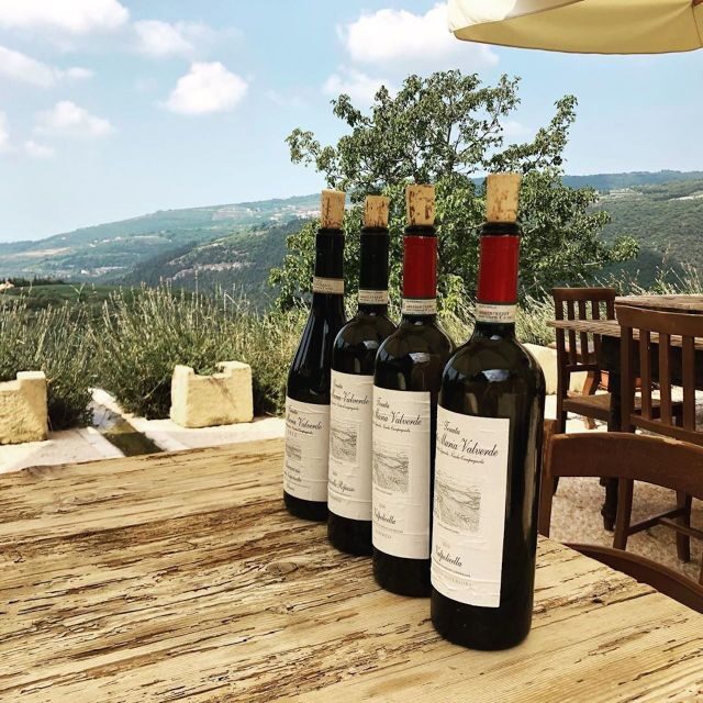 Verona: Vineyard and Winery Tour with Wine Tasting - Antipasti on the terrace: local bites made for your glass