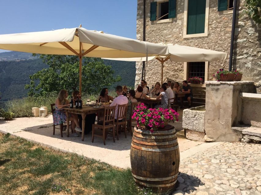 Verona: Vineyard and Winery Tour with Wine Tasting - The vineyard walk: where the grapes start the story