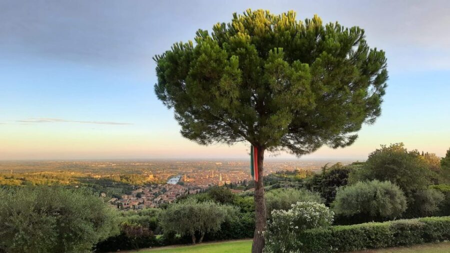 Verona: Wine Tasting with Snacks and Panoramic Views - Should you book this Verona wine tasting?