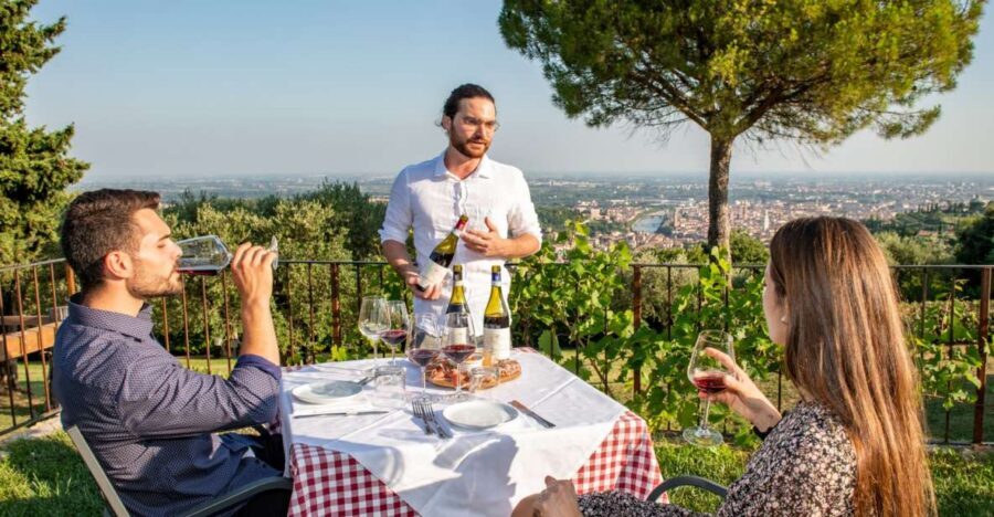 Verona: Wine Tasting with Snacks and Panoramic Views - Corte San Mattia: a small organic winery within Verona’s reach