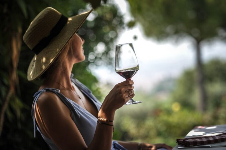 Verona: Wine Tasting with Snacks and Panoramic Views - Cold cuts and cheese pairing: where the snack matters
