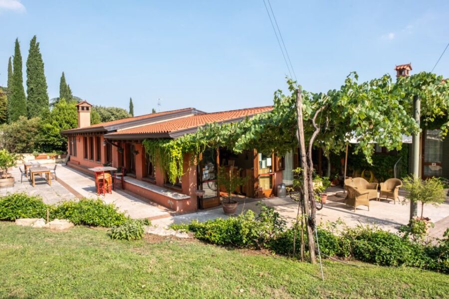 Verona: Wine Tasting with Snacks and Panoramic Views - Price and value at $53 per person: what you’re really paying for